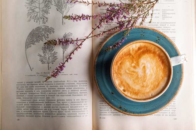 Read & Reset