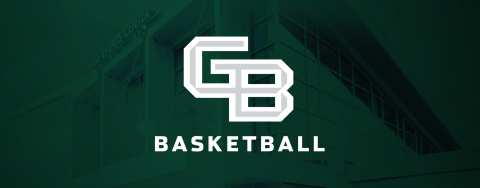 Green Bay Phoenix Mini Plan