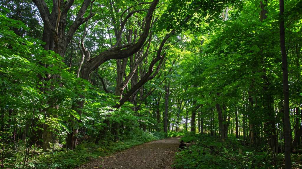 Things to Do in Mequon: A Local's Guide for 2026
