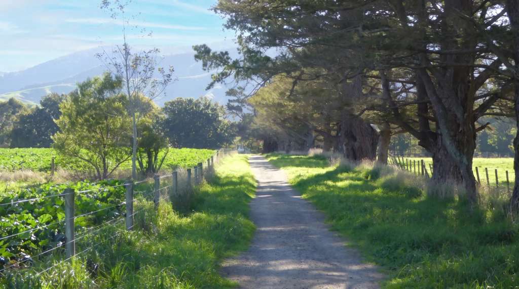 Things to Do in Greytown: The Town the Railway Missed