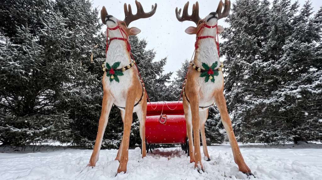 Best Time to Visit Slinger: Race in Summer, Ski in Winter
