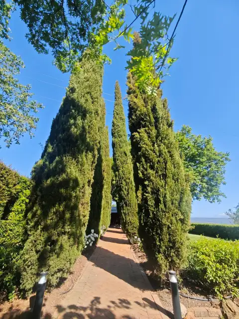 Paul Clüver Family Wines — photo 2