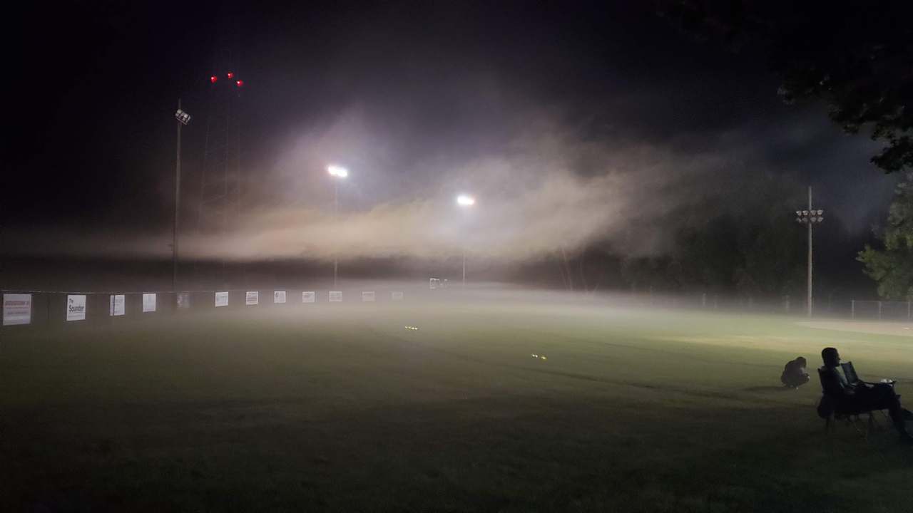 Batavia Ball Diamond — photo 3