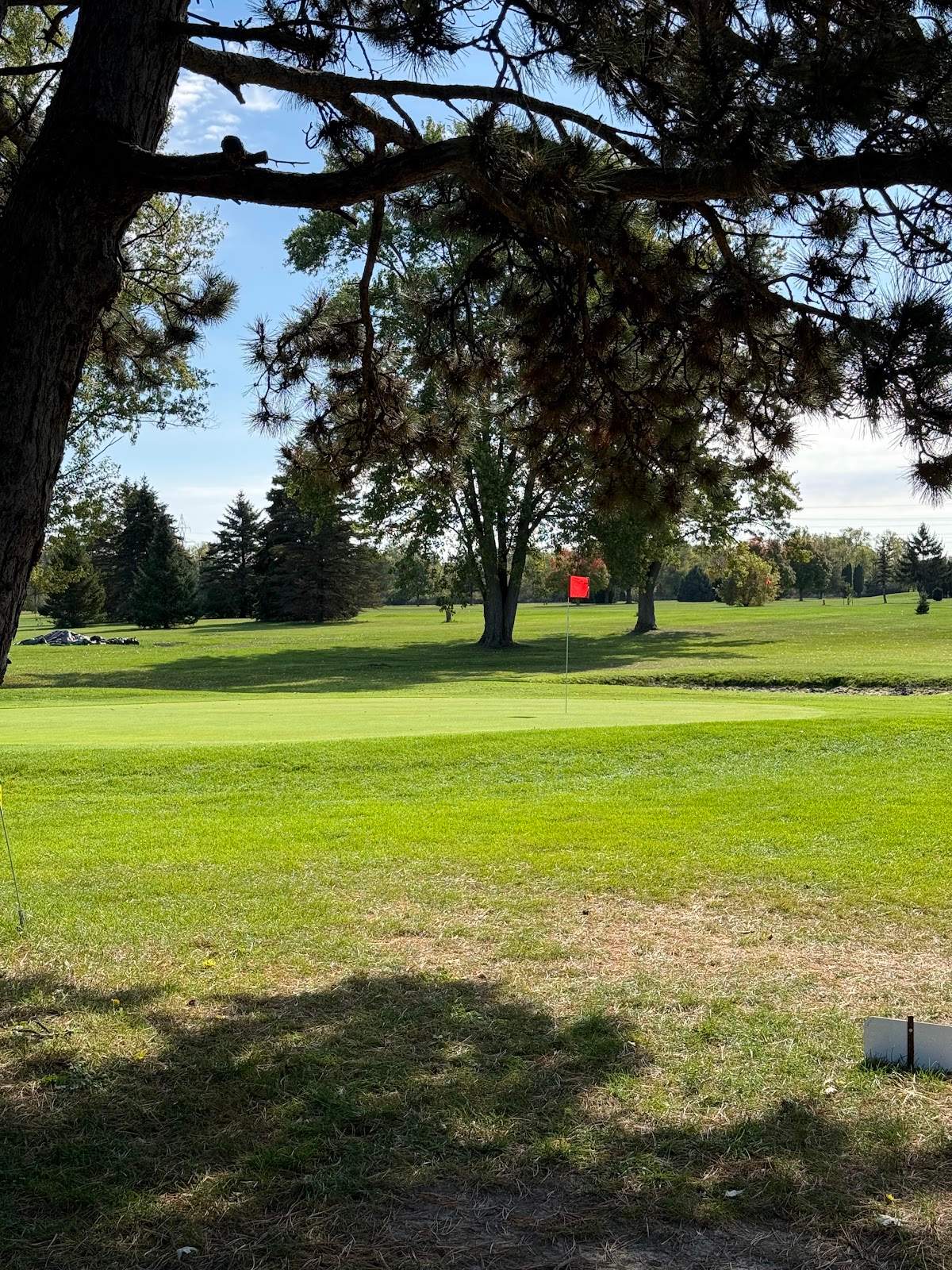 Woodland Golf — photo 1