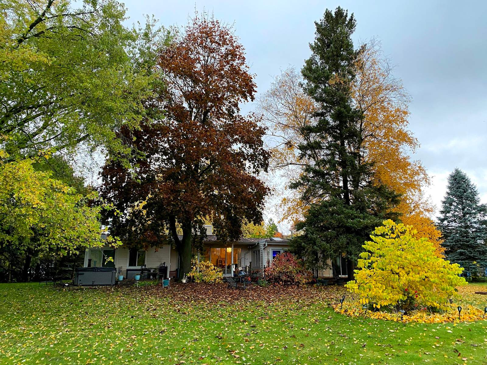A Retreat to Vitality — photo 1