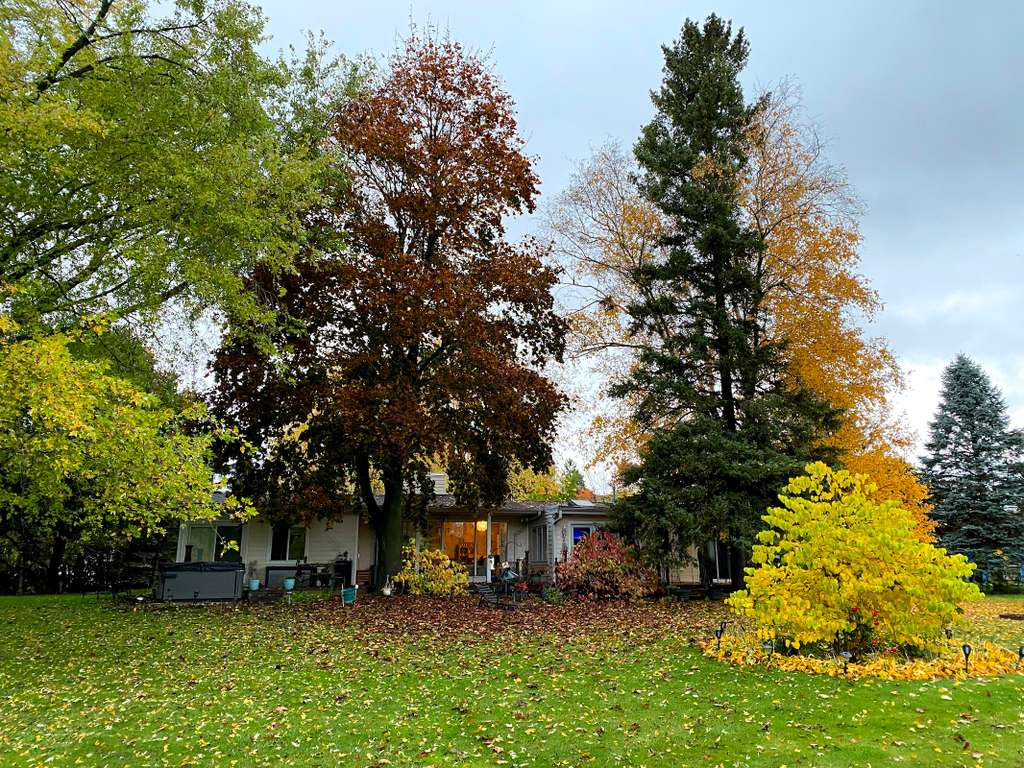 A Retreat to Vitality