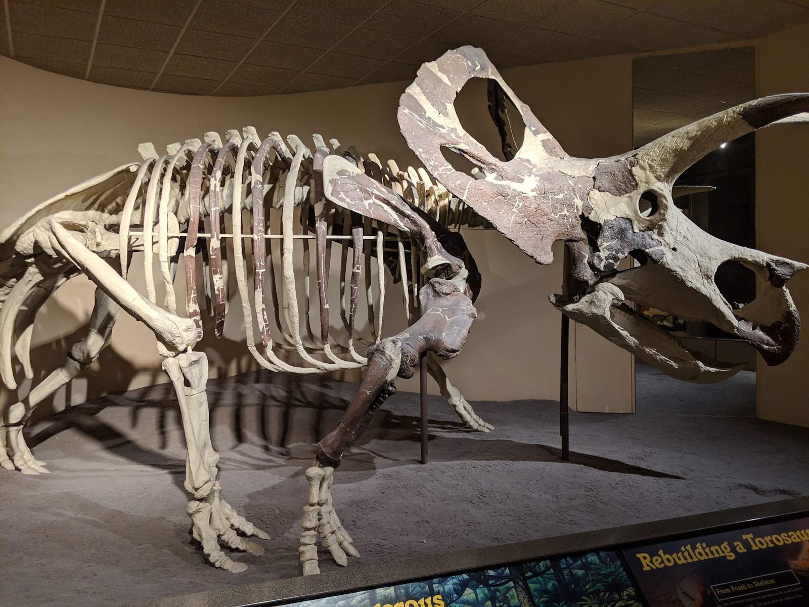 Milwaukee Public Museum — photo 2