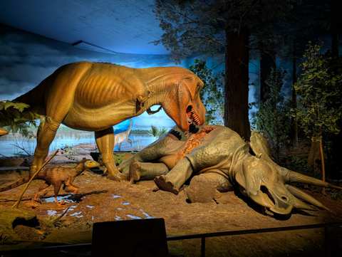 Milwaukee Public Museum — photo 3