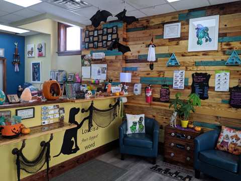 Pawsitively Purrfect Pet Grooming LLC — photo 4