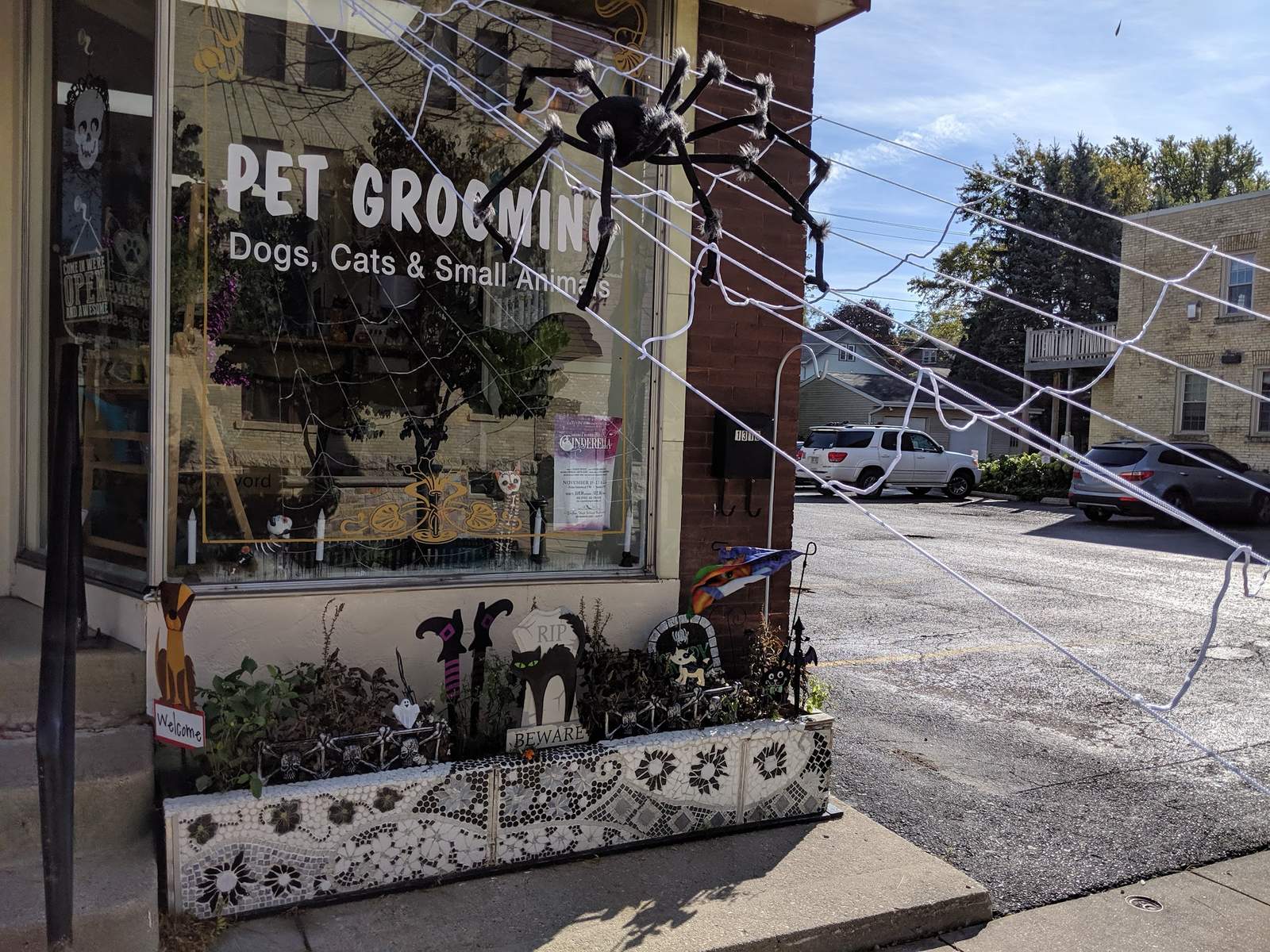 Pawsitively Purrfect Pet Grooming LLC — photo 5
