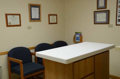 The Little Animal Hospital — photo 2