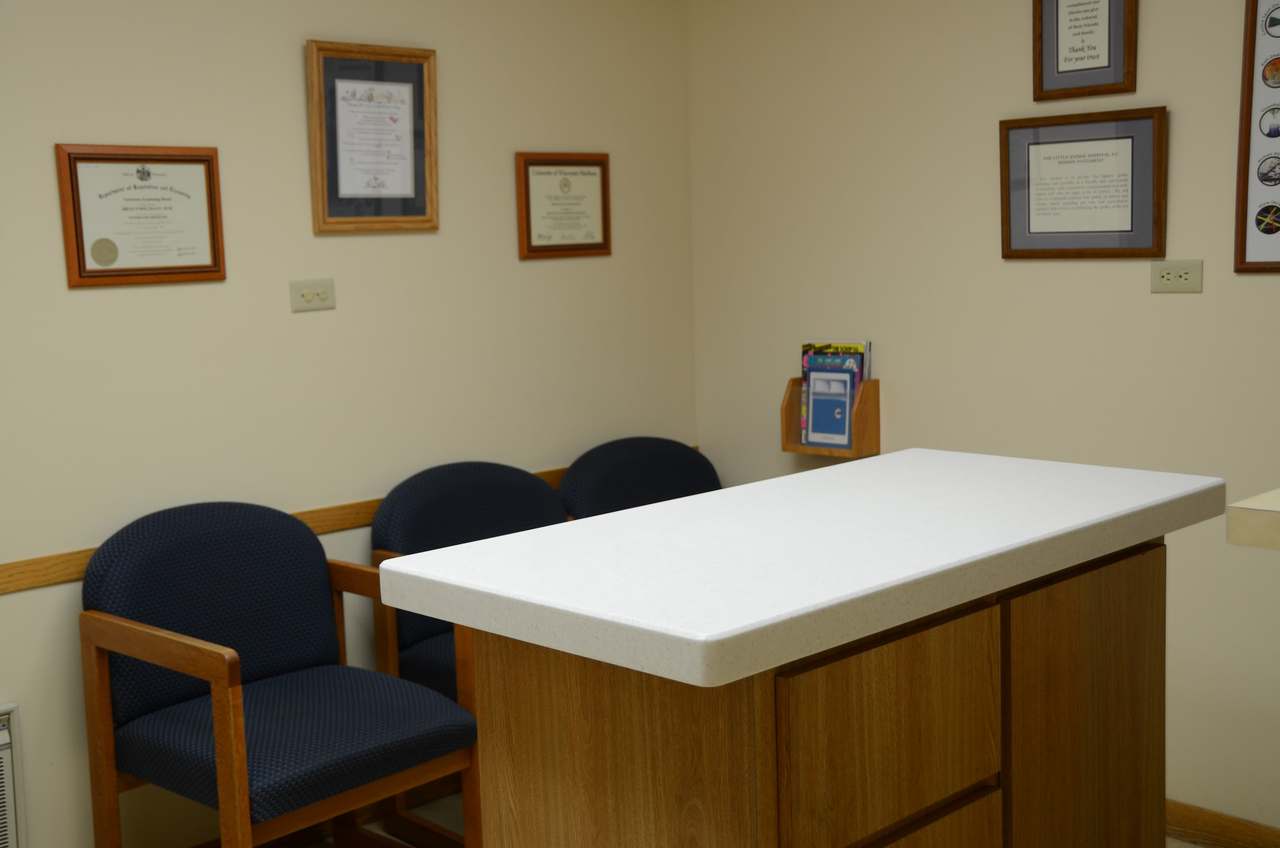 The Little Animal Hospital — photo 2