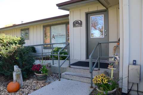 The Little Animal Hospital — photo 4