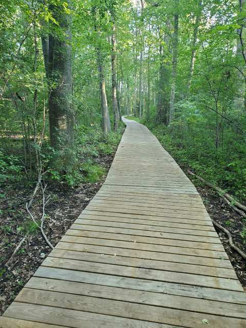 Homestead Hollow County Park — photo 5