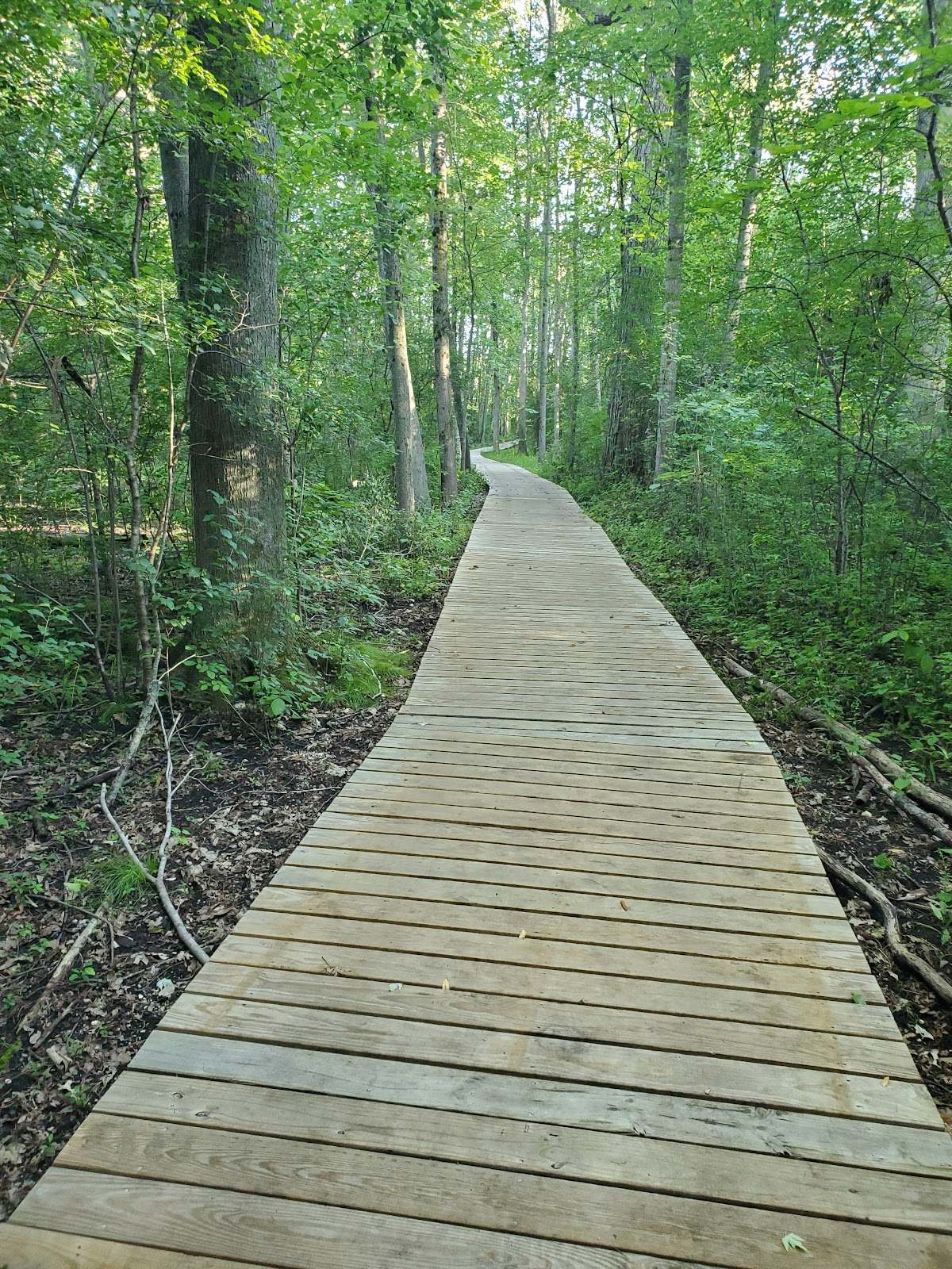 Homestead Hollow County Park — photo 5