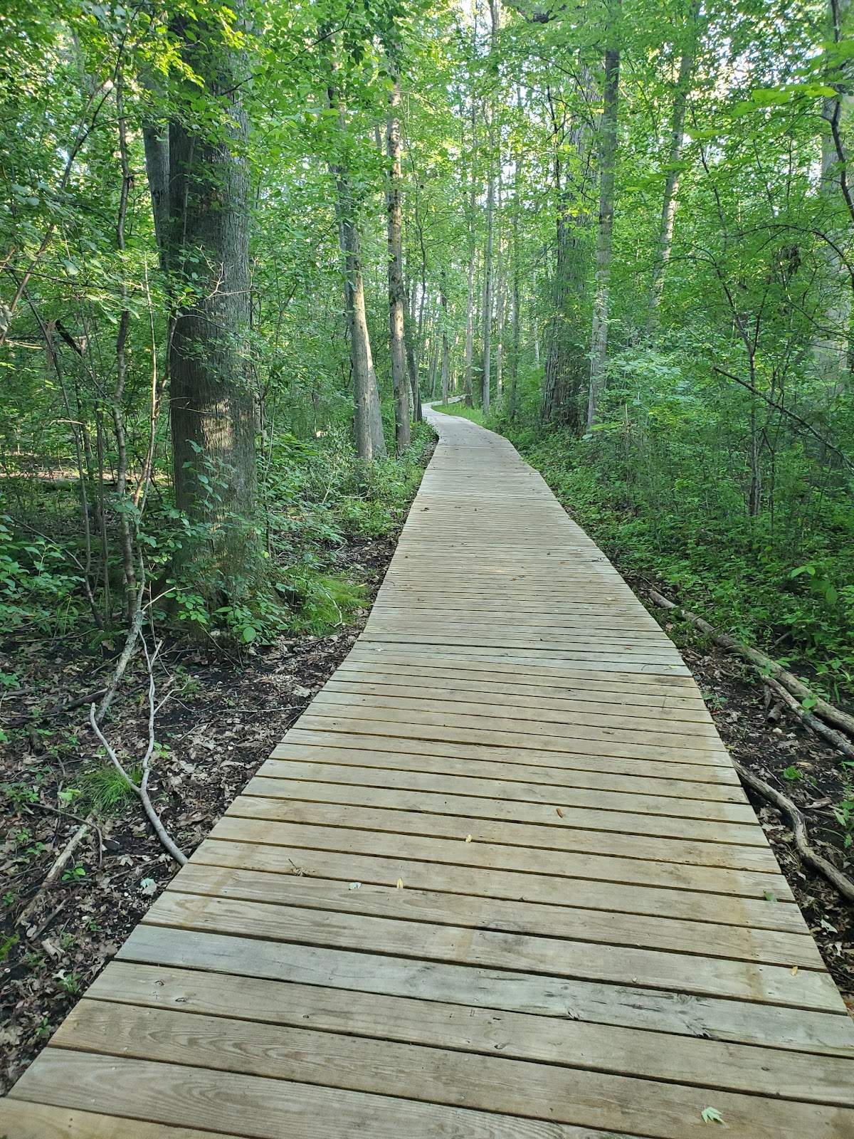 Homestead Hollow County Park — photo 5