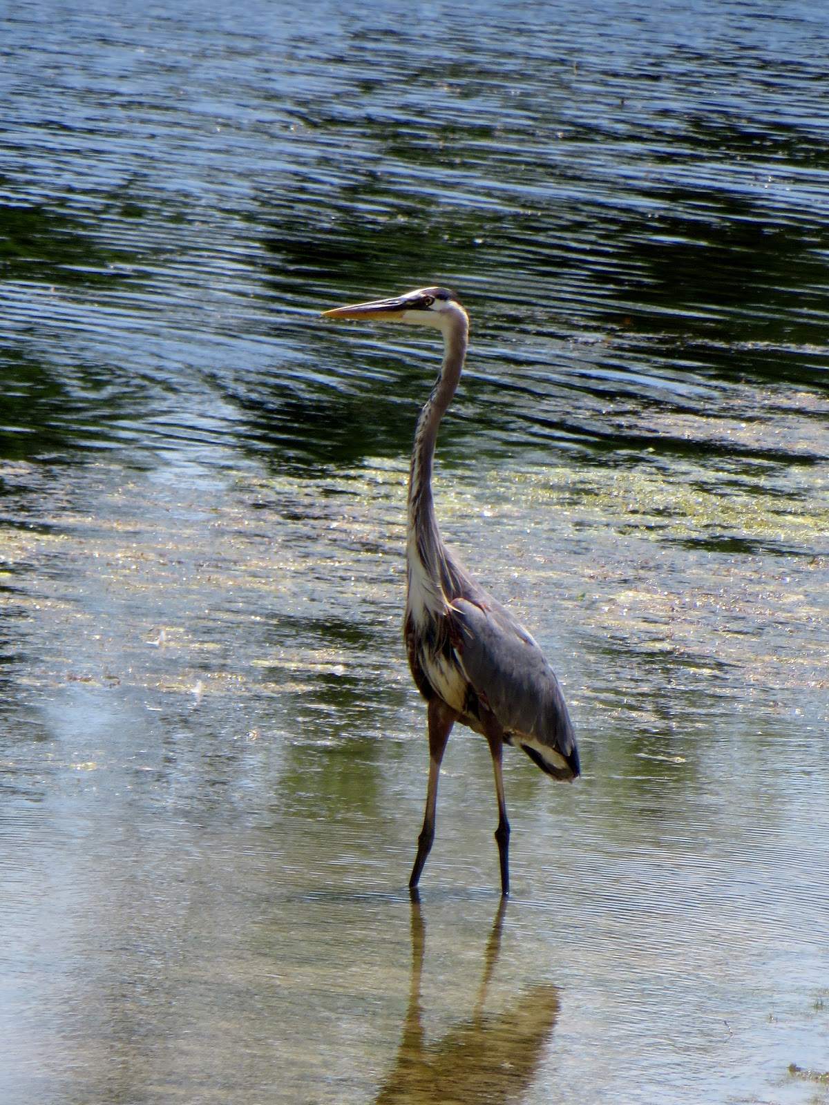 Washington County Family Park — photo 5