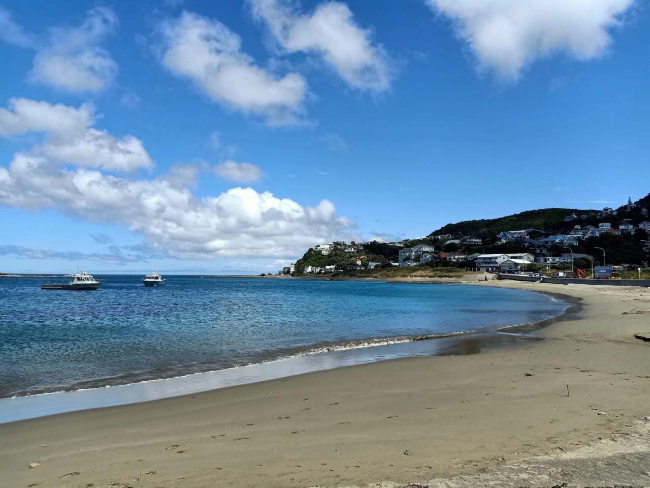 Island Bay Beach — photo 1