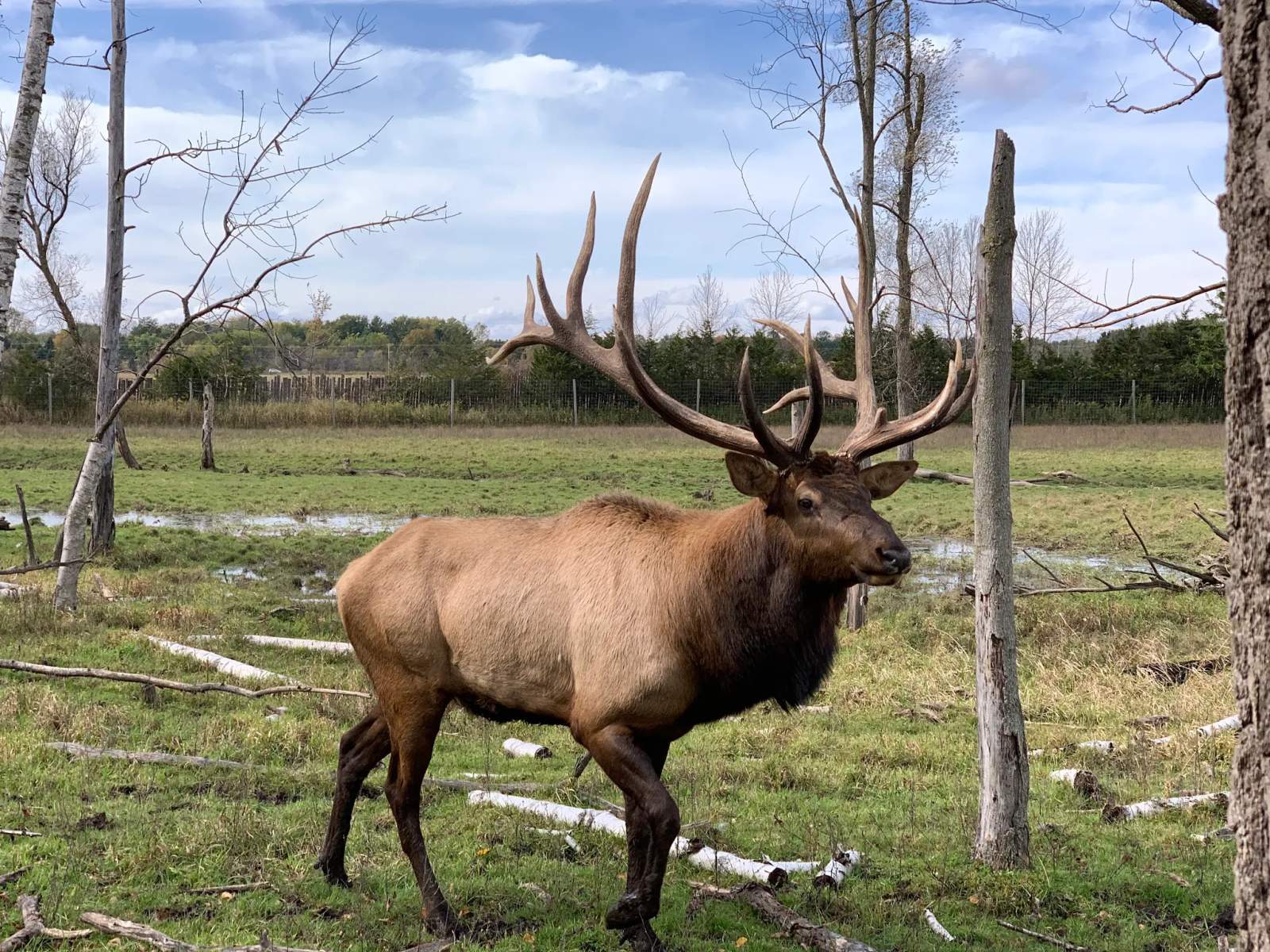 Shalom Wildlife Sanctuary LLC — photo 2