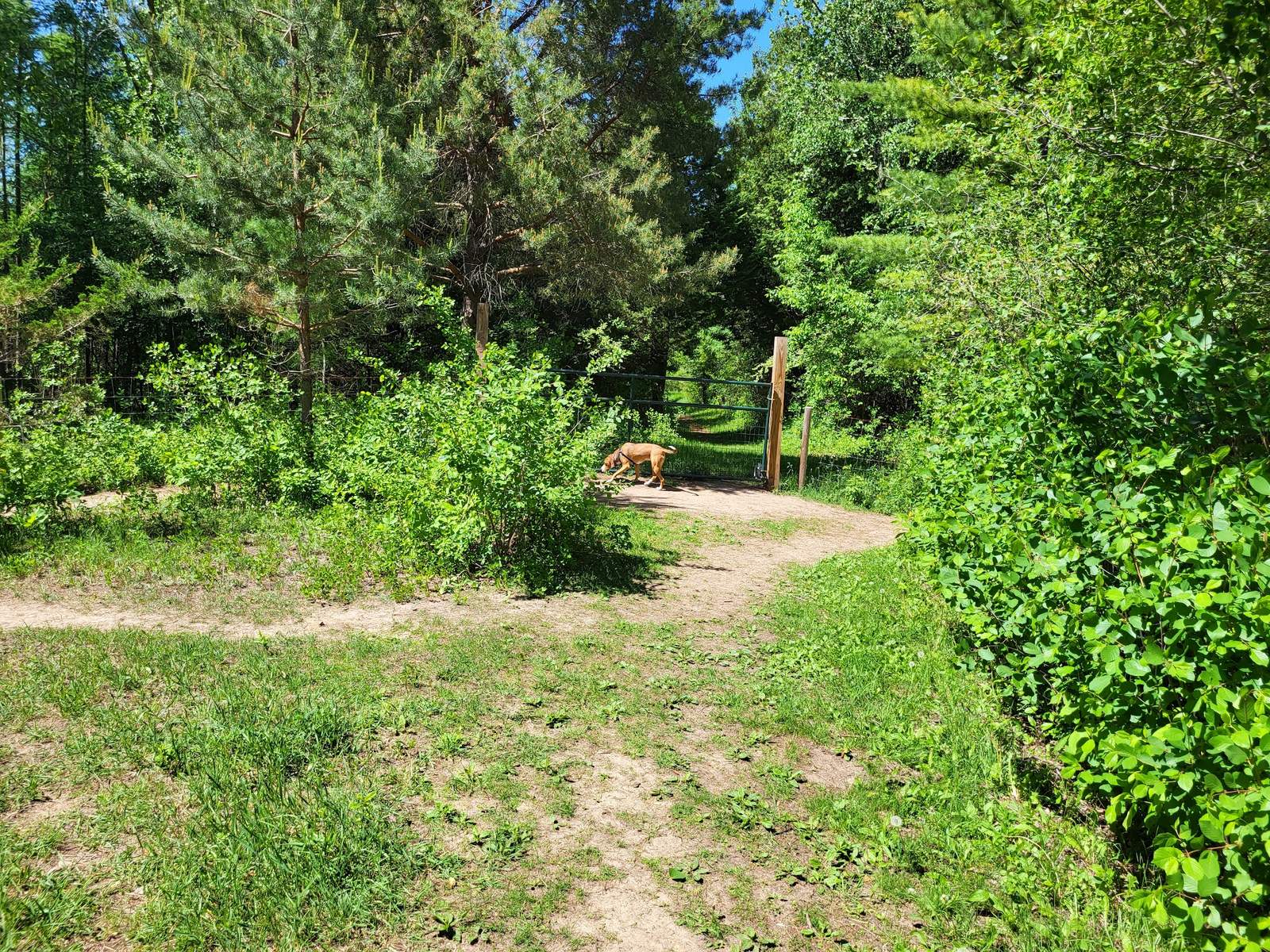 Sandy Knoll County Park — photo 4