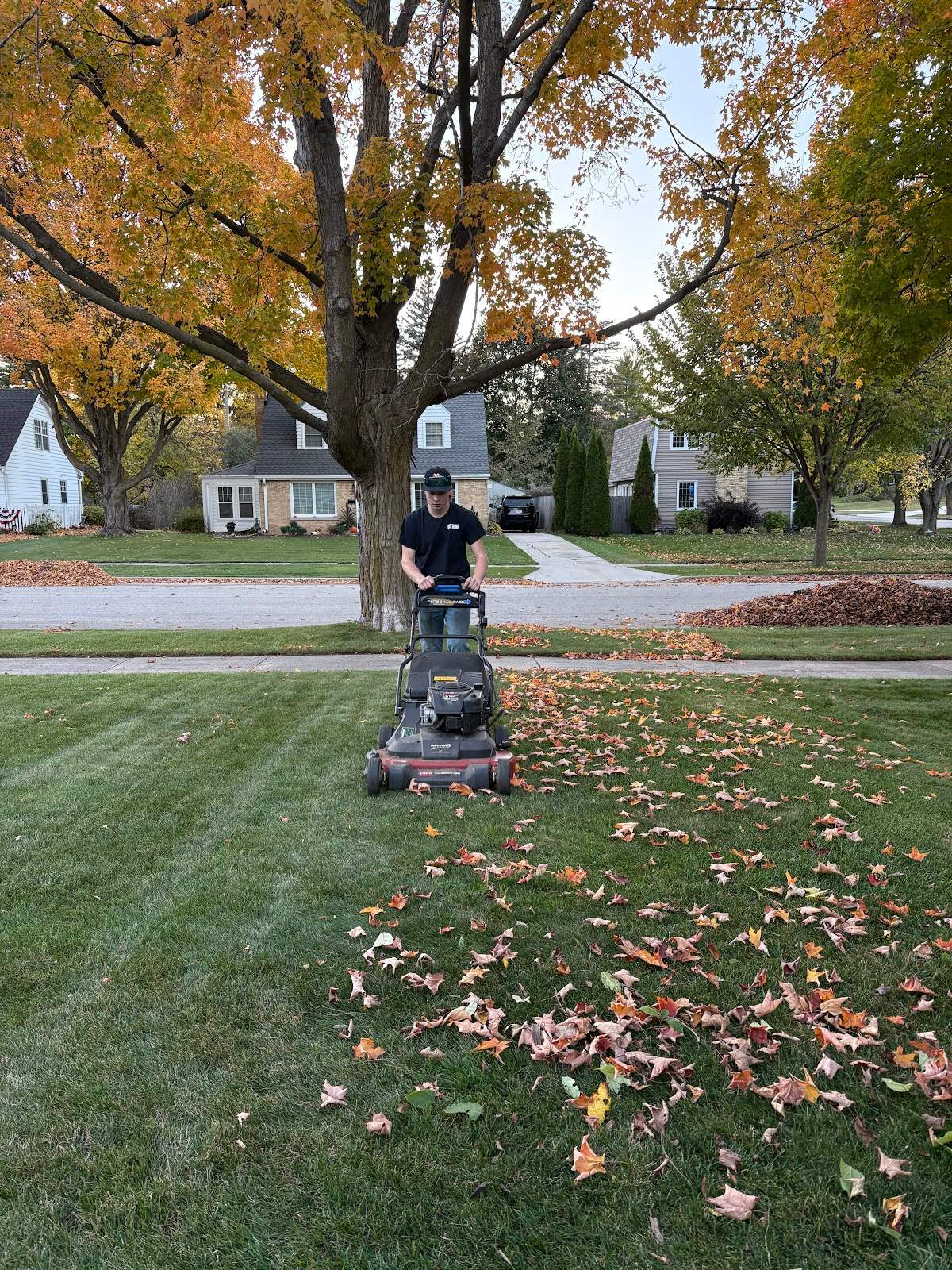 Donath Landscaping Solutions LLC — photo 4