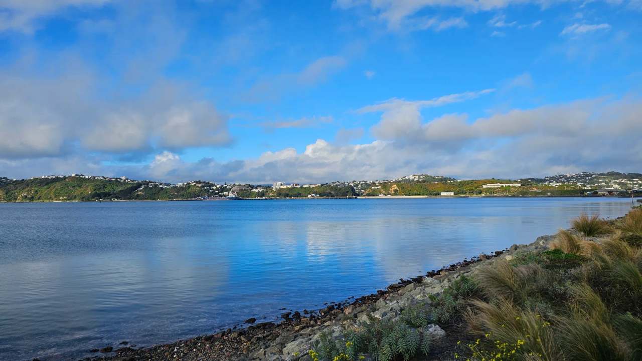 Evans Bay Beach, Wellington — photo 1