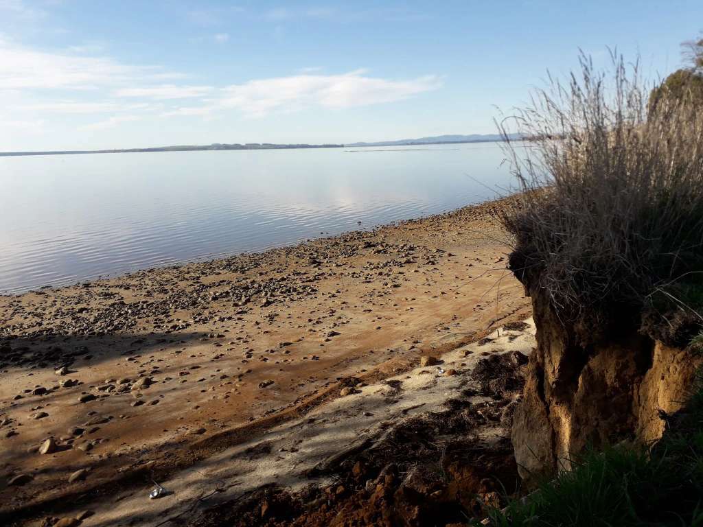 Tamawhariua Reserve/Foreshore walkway