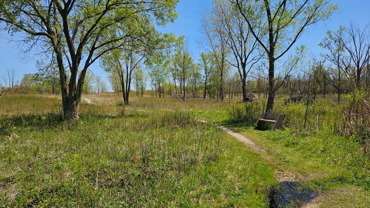 Grobschmidt Park — photo 2