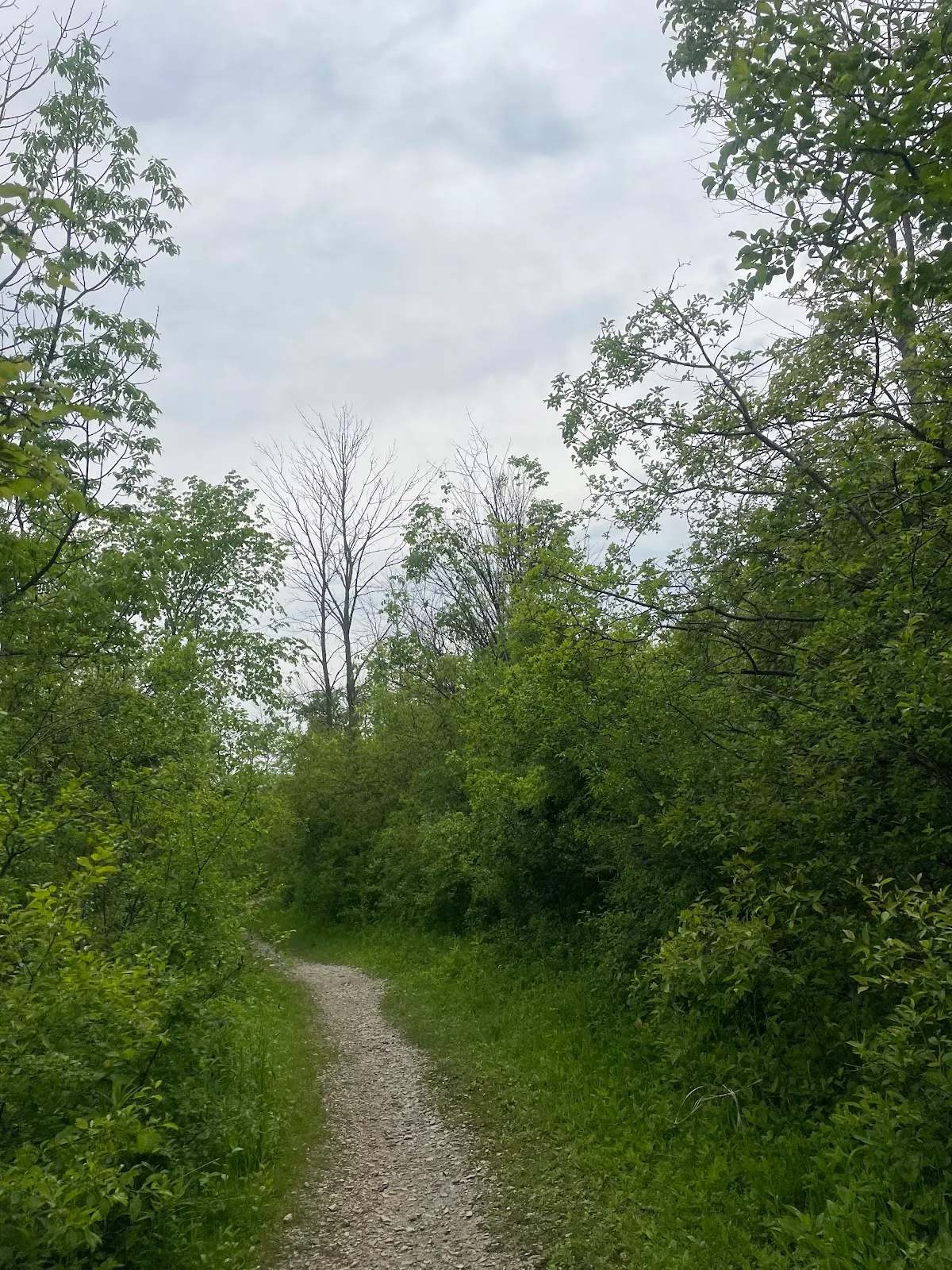 Grobschmidt Park — photo 3