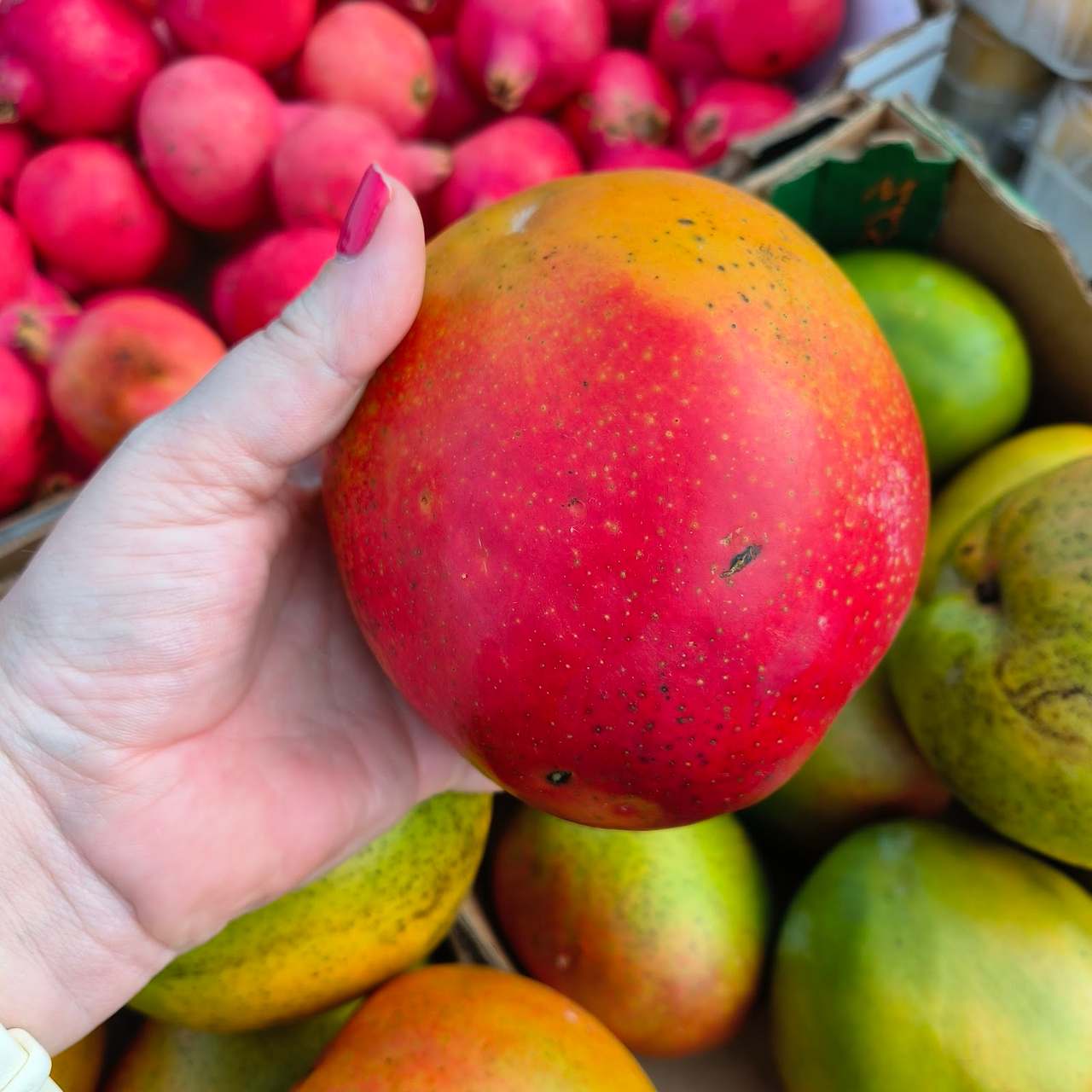 Salt Rock Farmers Market — photo 4
