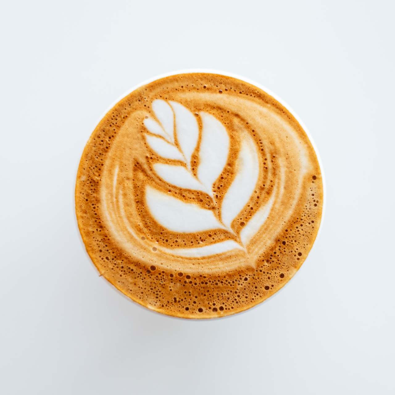 Platō Coffee - Simbithi — photo 2