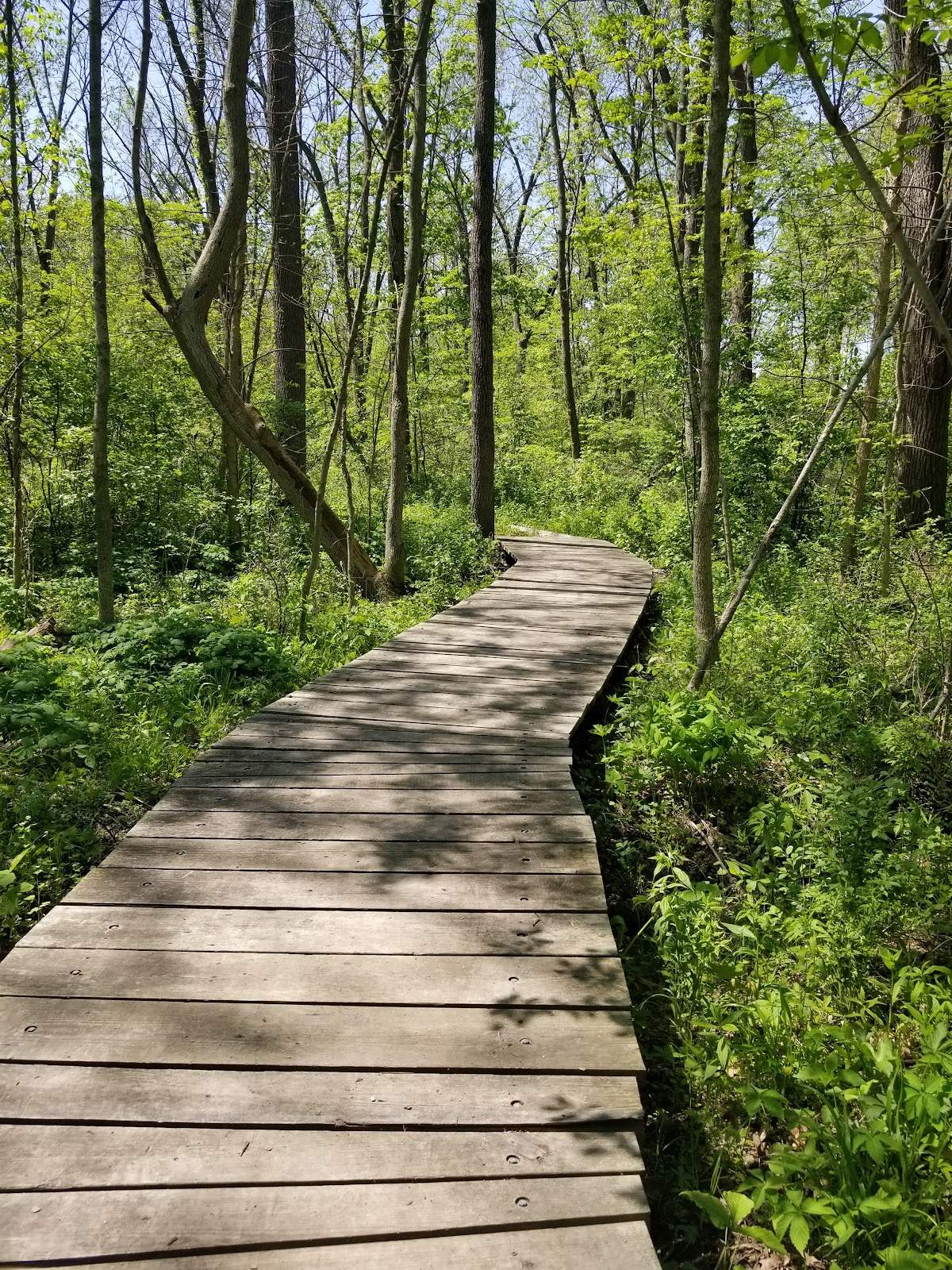 Wehr Nature Center — photo 5