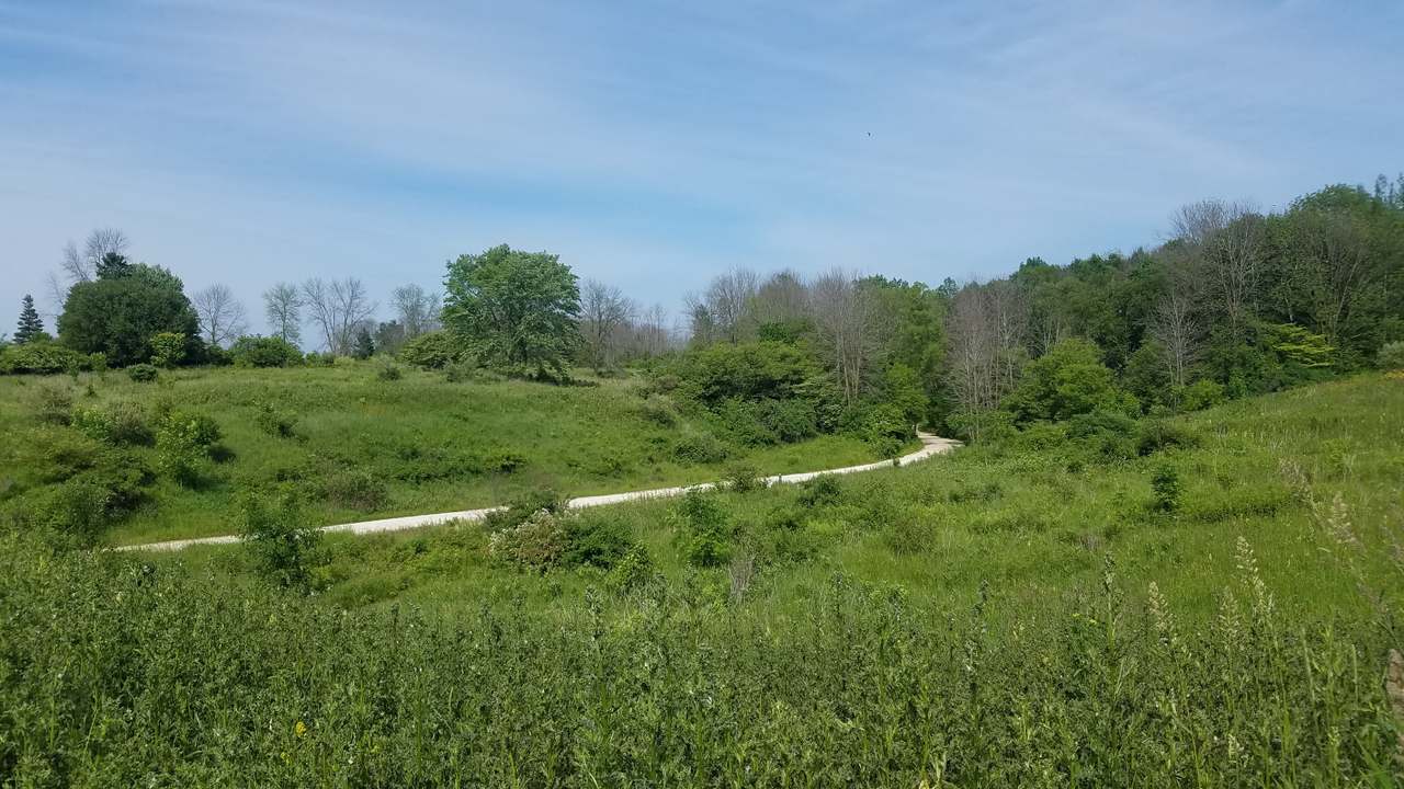 Forest Beach Migratory Preserve — photo 1