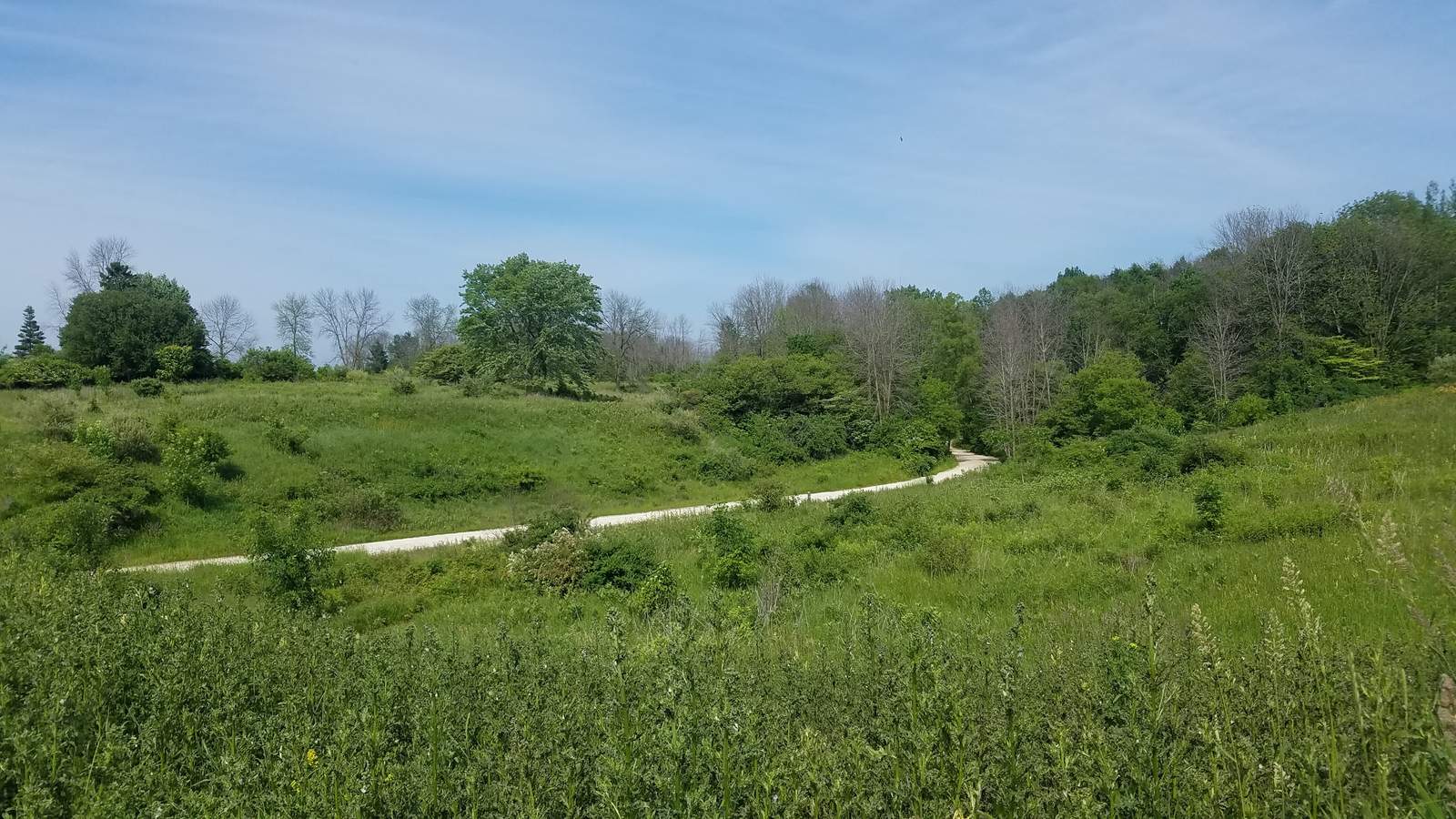 Forest Beach Migratory Preserve — photo 1