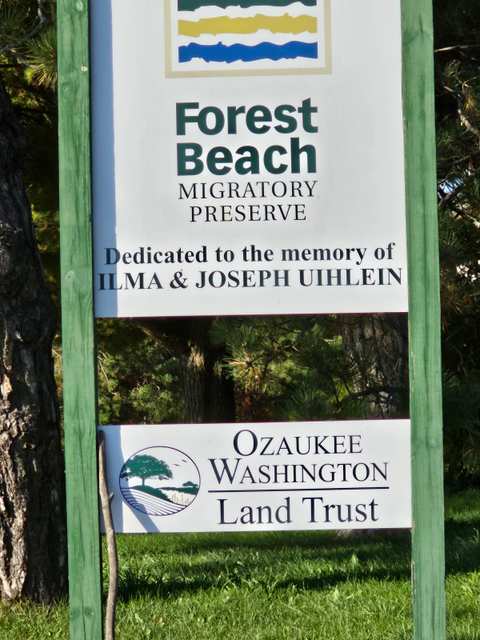 Forest Beach Migratory Preserve — photo 3