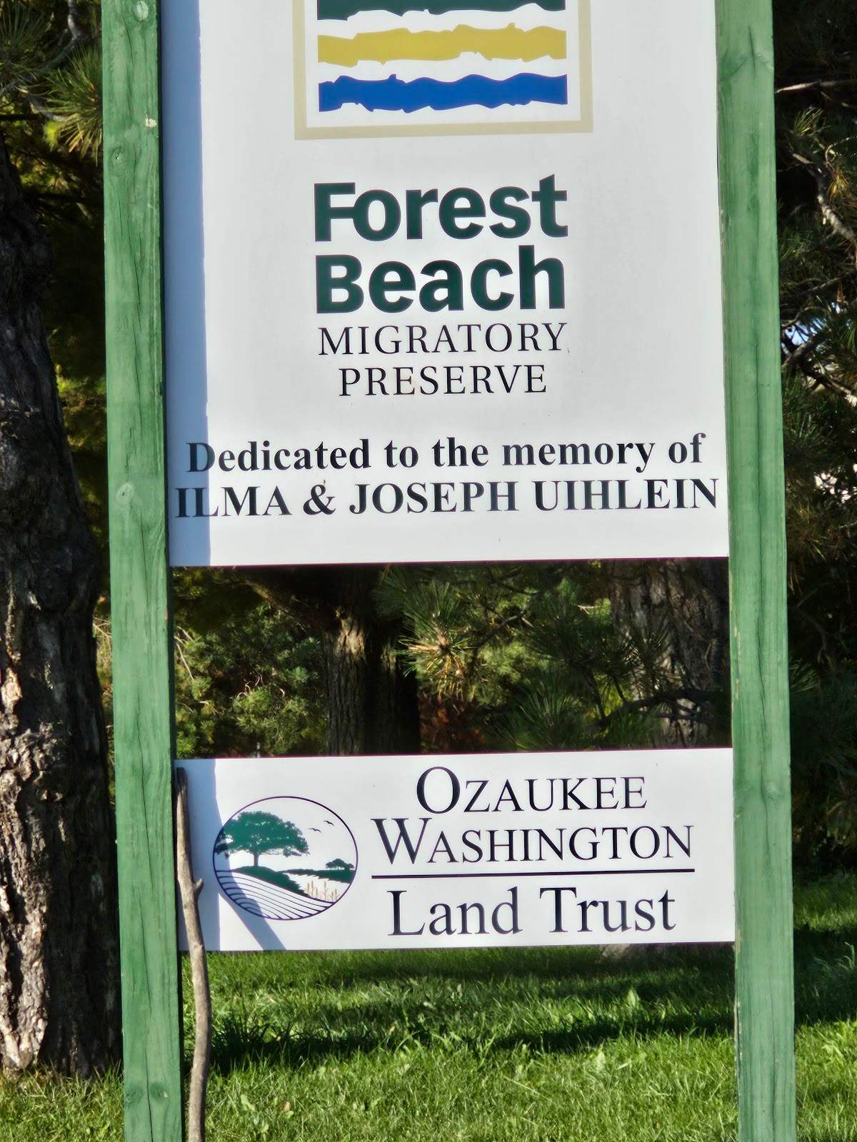 Forest Beach Migratory Preserve — photo 3