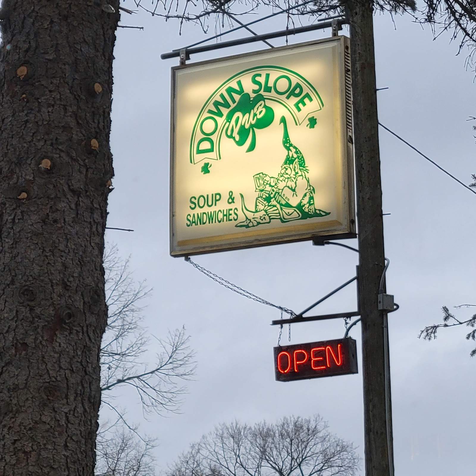 Down Slope Pub — photo 5
