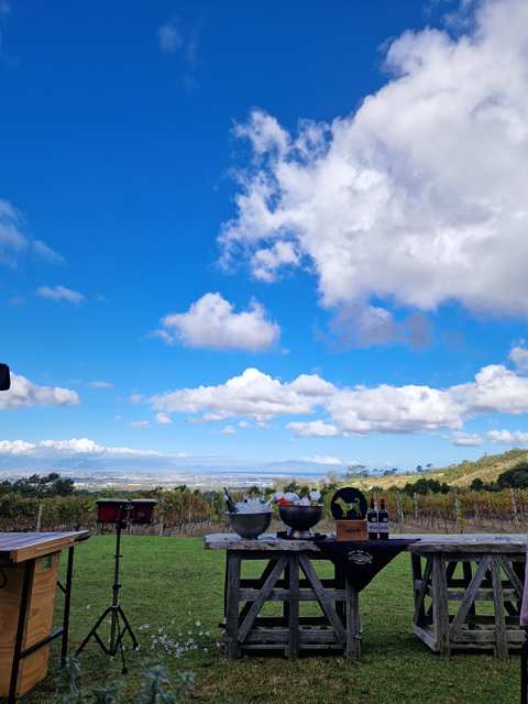 Silvermist Organic Wine Estate — photo 3