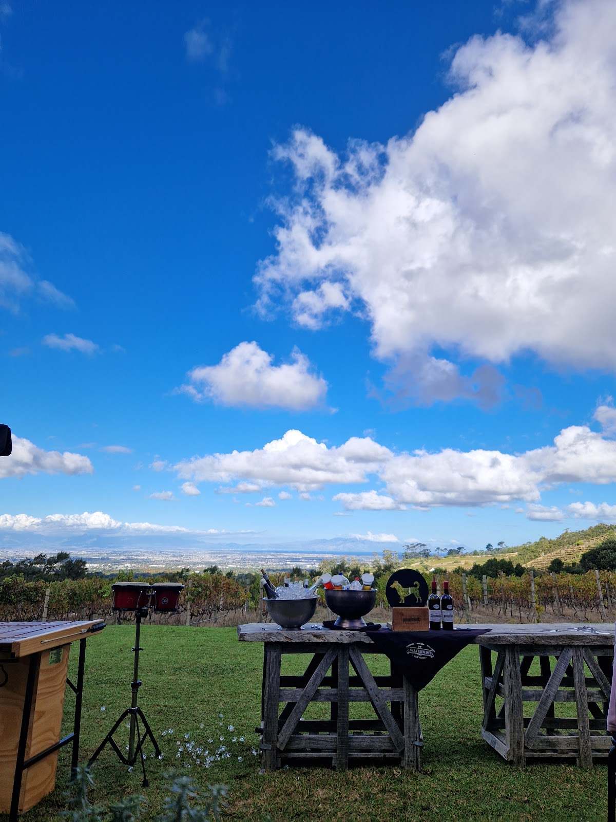 Silvermist Organic Wine Estate — photo 3