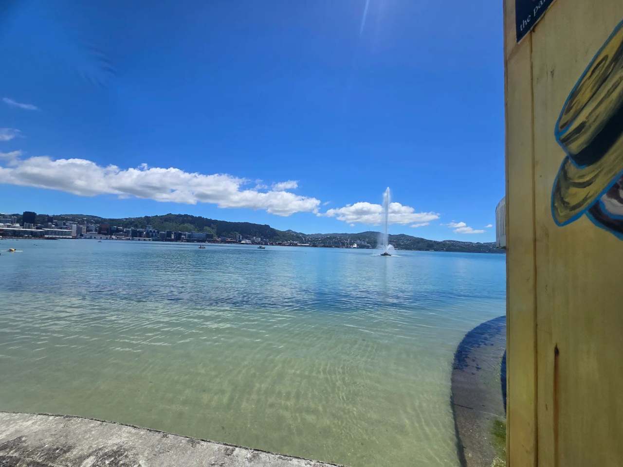 Oriental Bay Beach — photo 2