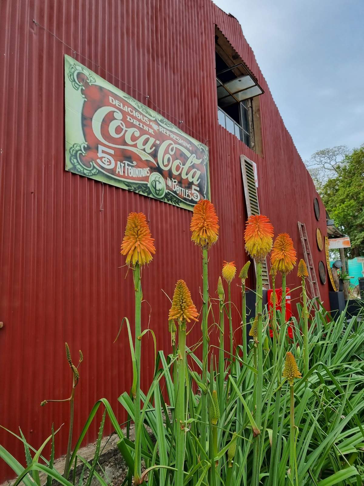 THE VINTAGE BARN BALLITO — photo 1