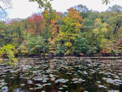 Ridge Run Park Central — photo 2