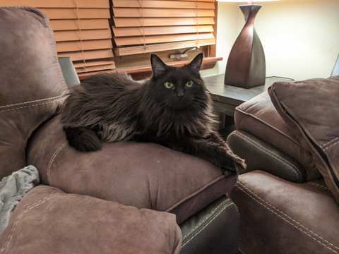 Port Veterinary Clinic — photo 4