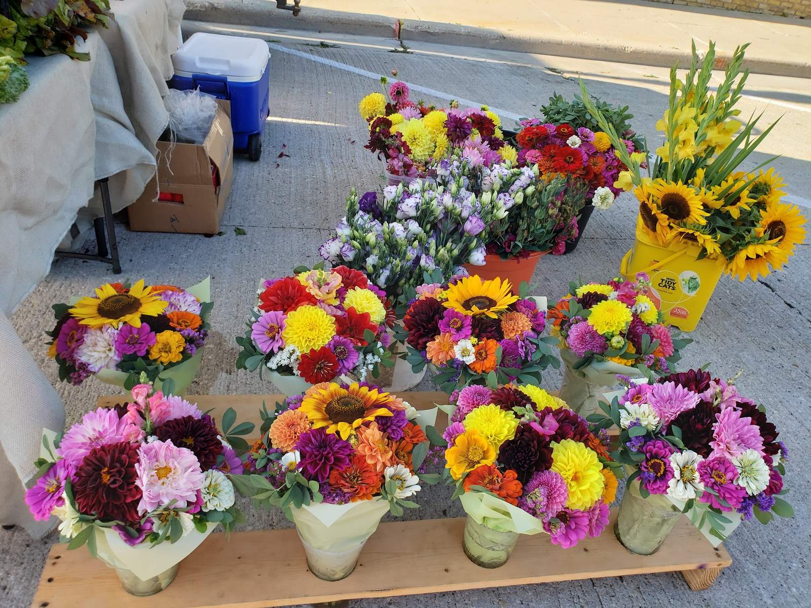 Port Washington Farmers Market — photo 3