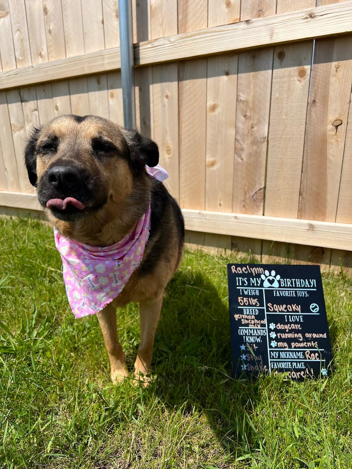 Charming Paws - Grafton — photo 1