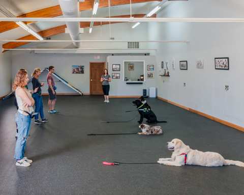 Go Over Rover Dog Training LLC — photo 3