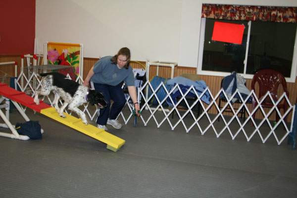 Go Over Rover Dog Training LLC — photo 4