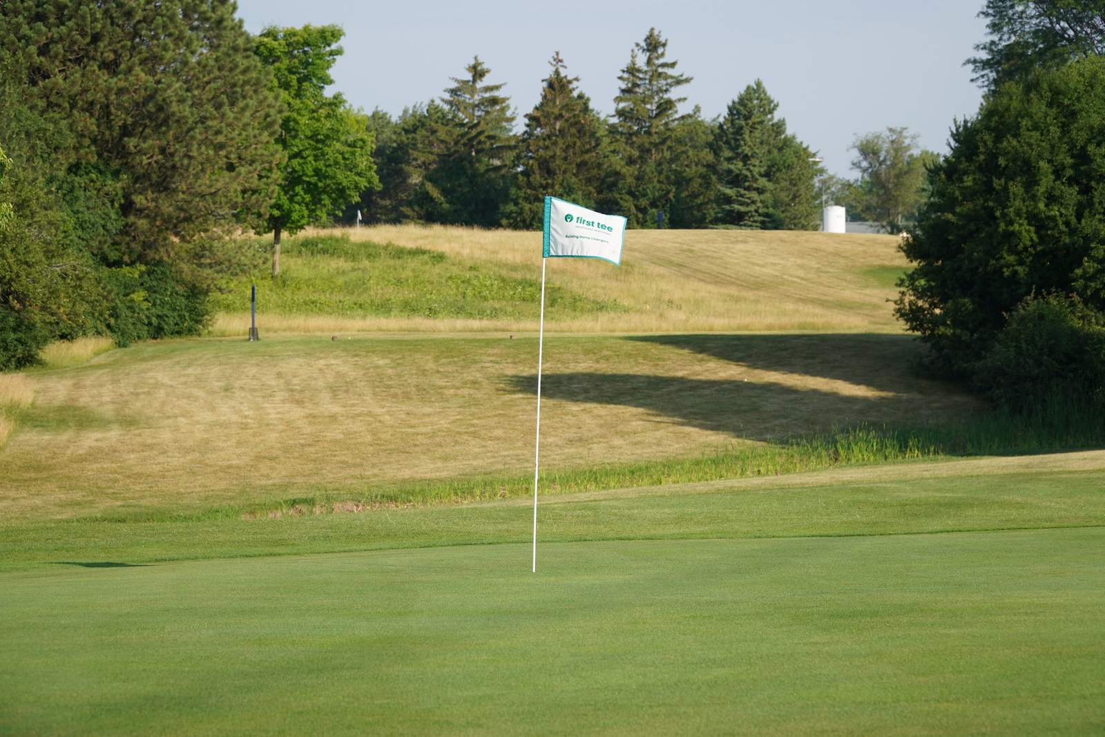 Noyes Park Golf Course — photo 1