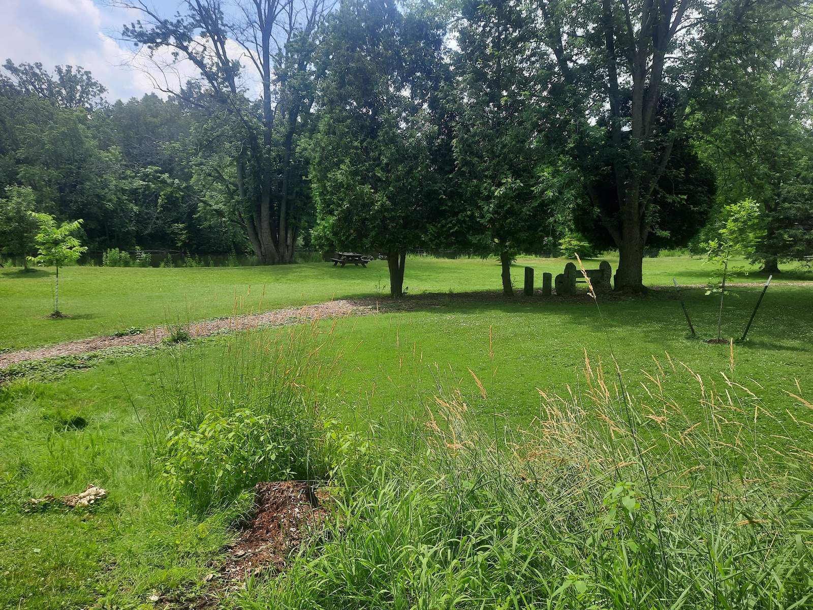 Waubedonia County Park — photo 3