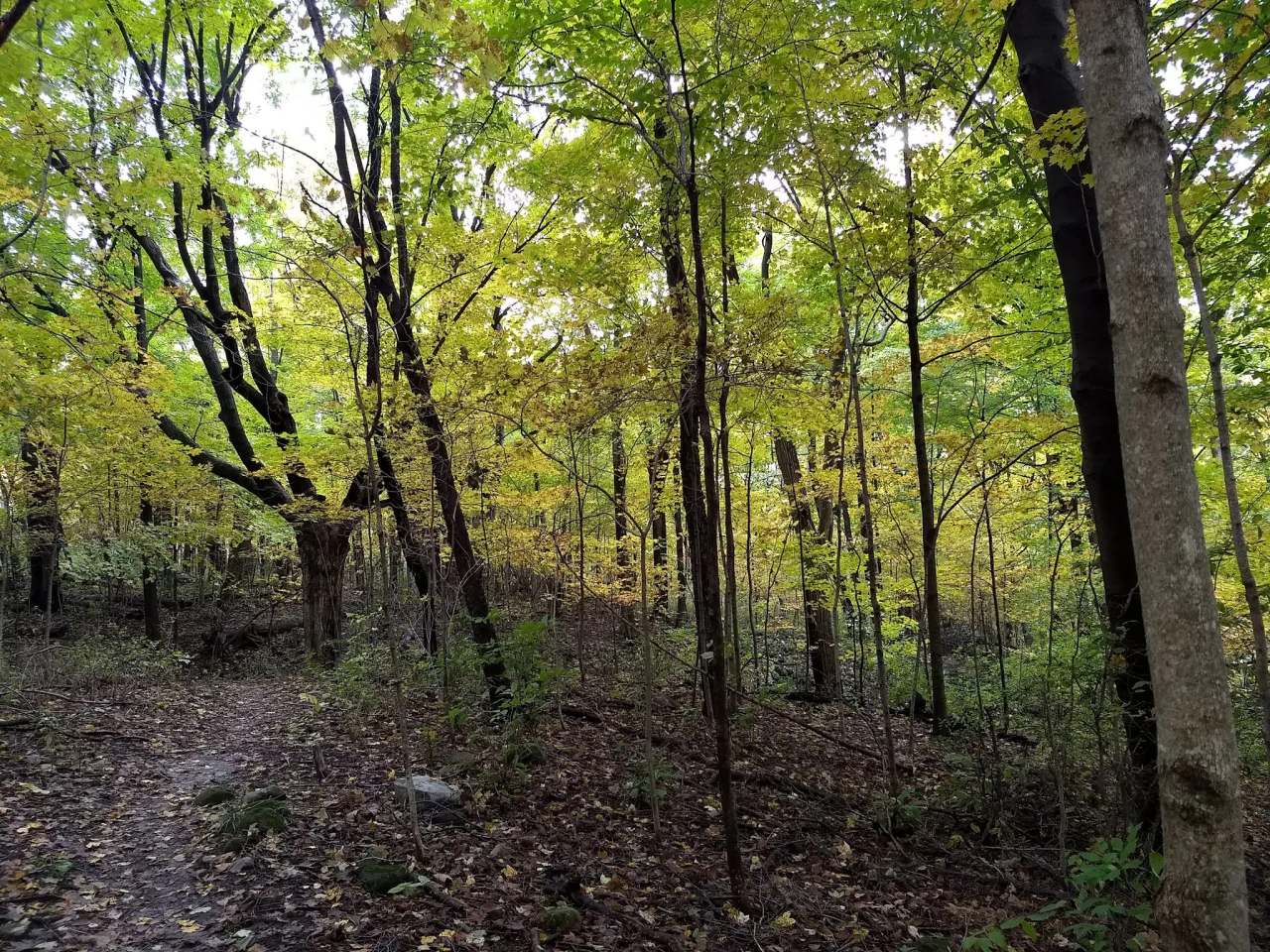 Ice Age Trail - Kewaskum Segment — photo 1